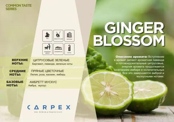 Ароматический картридж Carpex A1-PRO 900, фотография 12