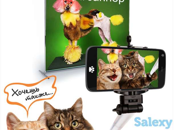 Графический дизайн.Полиграфия.Широкоформатная печать., фотография 1