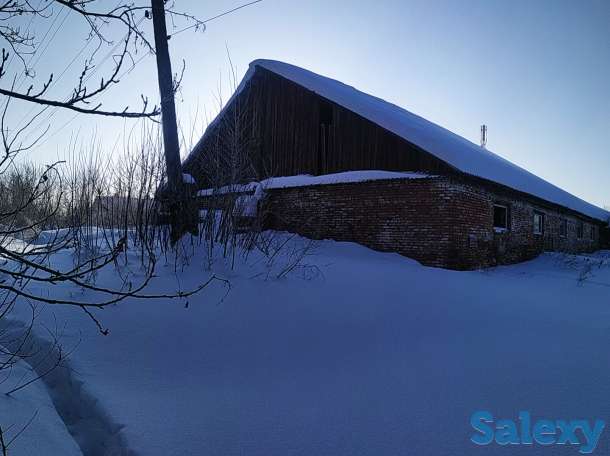 продам свинокомплекс, фотография 4