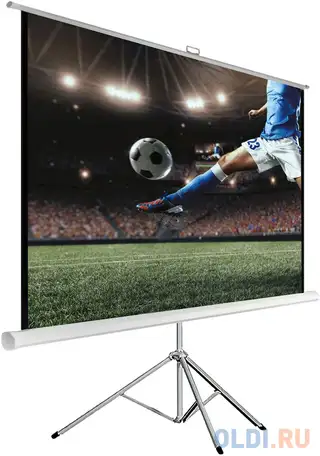 Экран на треноге hiper 183x244см cinema stp 4x3-120 4:3 напольный рулонный, фотография 1
