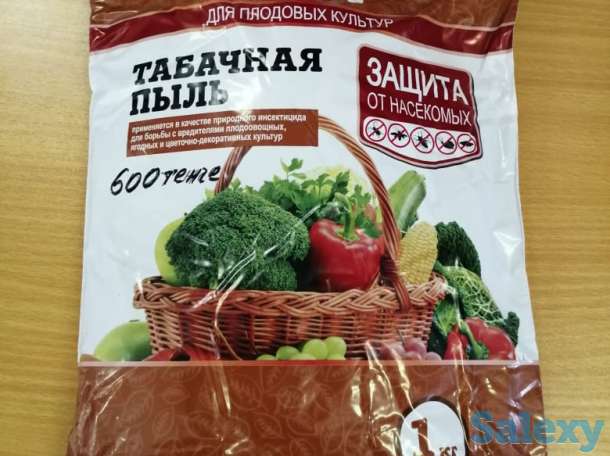 Семена Кокшетау, фотография 9