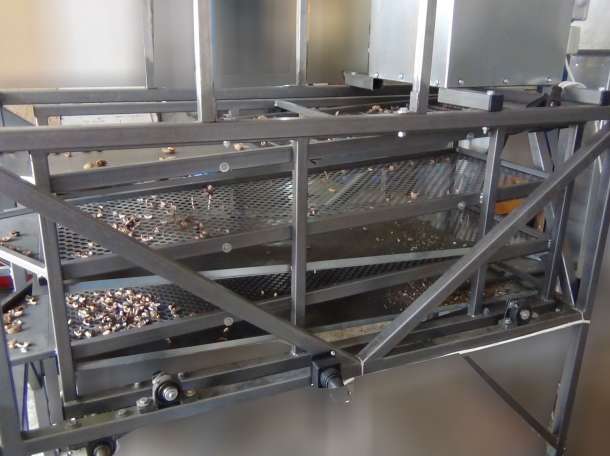 Орехокол промышленный для грецкого ореха и фундука Каскад, фотография 2