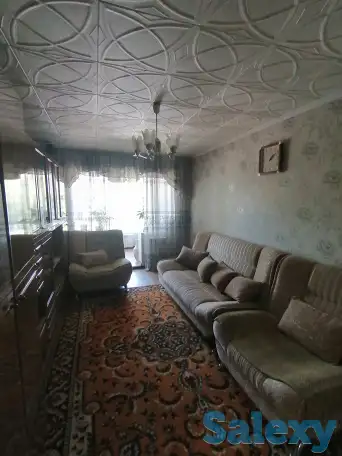 квартира, фотография 7