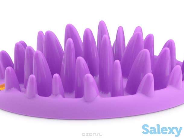 Зоотовары, фотография 9