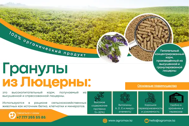 Гранулы из люцерны, фотография 1