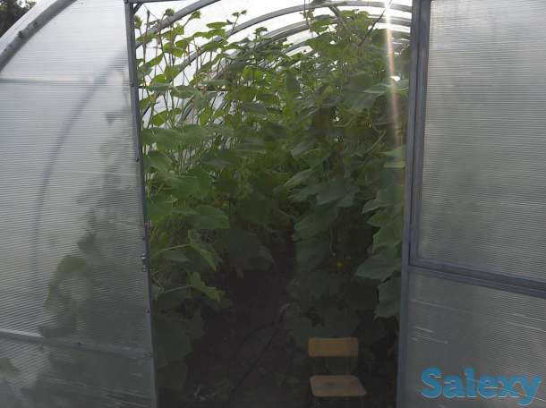 Дом, с.Сосновый Бор Клановая 16, фотография 8