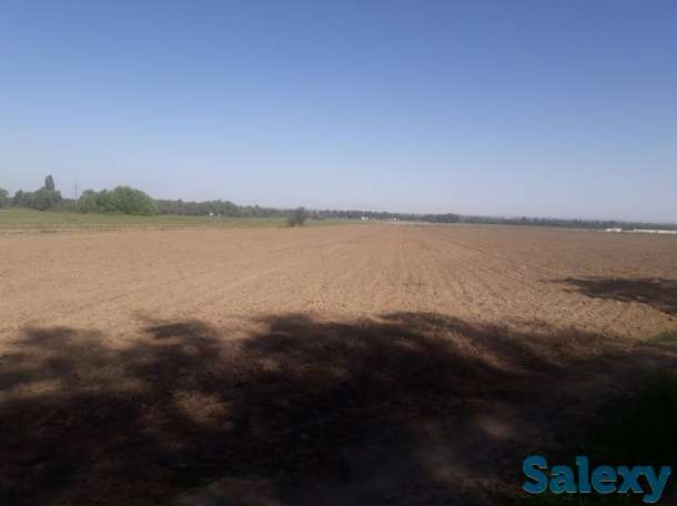 Продам участок га, Алматинская обл., р/н., Белбулак, фотография 5