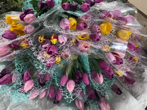 Тюльпаны к 8 марта, фотография 1