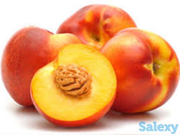 Саженцы персика сорт Супер Лола, фотография 1