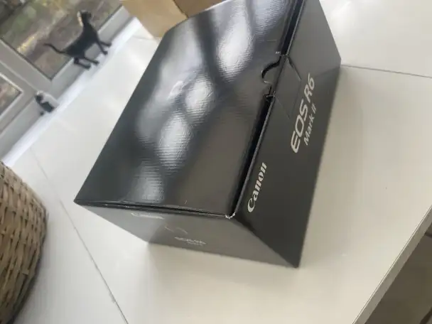 Беззеркальная камера Canon EOS R6 Mark II, фотография 11