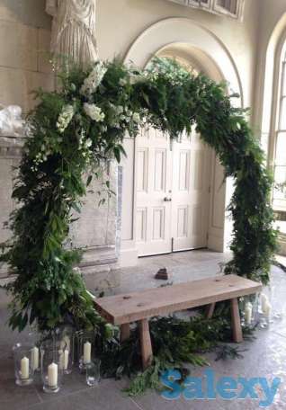 Озеленение интерьеров, фотография 3