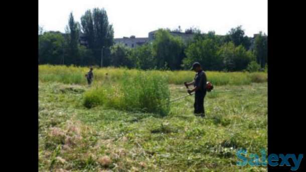 Покос Стрижка травы, фотография 5