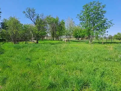 Бизнес партнера по разведению КРС ,МРС, фотография 1