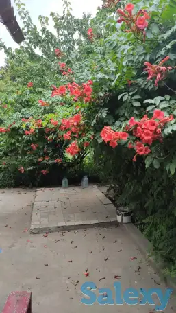 Дача 15 соток, Алматинская область, Талгарский район, с.о. Кендалинский, с. Кендала, с/т Медик-, фотография 17