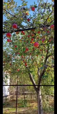 Дом частный, Проезд Конституции, 2, фотография 12