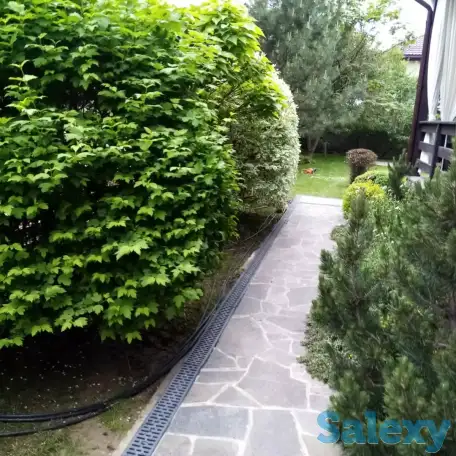 Садовник Каскелен, фотография 1