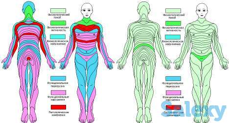 Диагностика РУНО, фотография 3