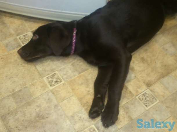 предлагаются, фотография 7