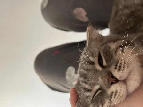 Звонить только при покупке, фотография 2