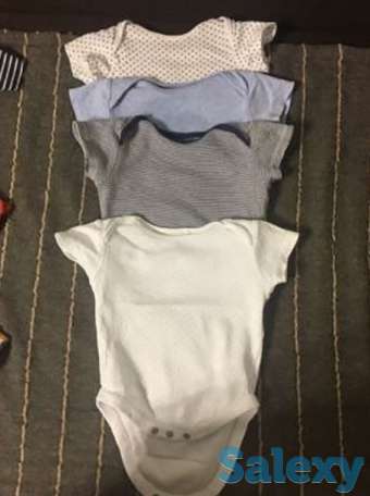 Продам боди, фотография 1