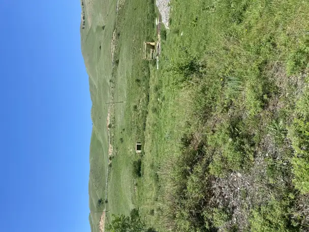 Участок 58 соток у озера колсай, Колсай, фотография 4