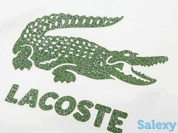 Хлопковая толстовка lacoste, фотография 3