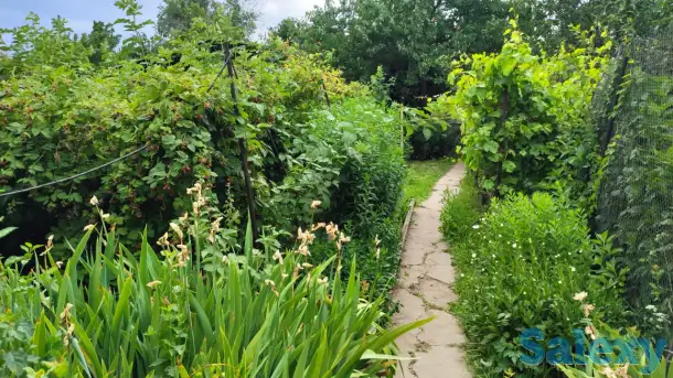 Дача 15 соток, Алматинская область, Талгарский район, с.о. Кендалинский, с. Кендала, с/т Медик-, фотография 18