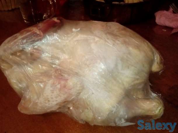 Продам бройлеров., фотография 2