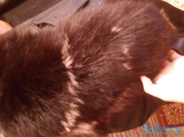 Плащ женские ,очень модный, фотография 4