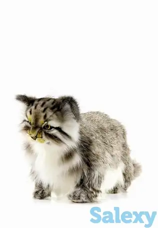 Игрушка мягкая hansa, фотография 1