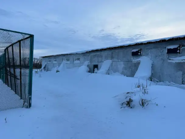 Продается готовый бизнес ферма по производству перепелиных яиц в Акмолинской области, фотография 10