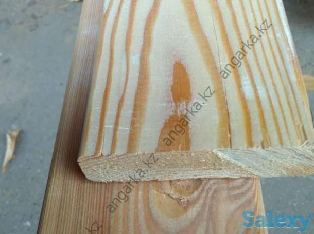 Планкен прямой, фотография 1