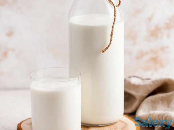 Доставка КЫМЫС и САУМАЛ от производителей (Кумыс Алматы), фотография 3