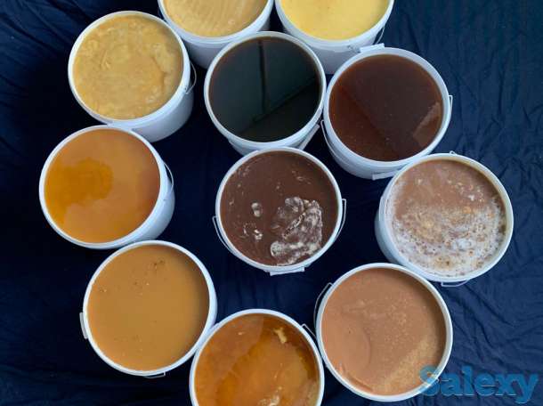 Продам мёд, Сотовый мёд, Продукты пчеловодства. Опт., фотография 5