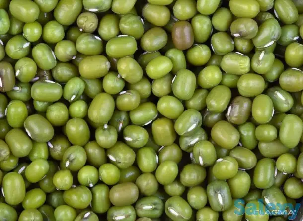 зеленый бабы (маш), фотография 2