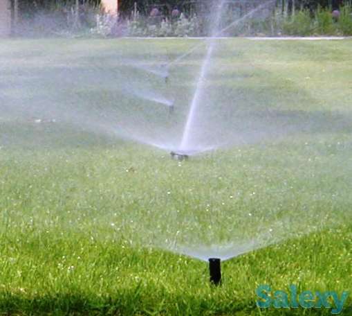 полив, газон, озеленение, фотография 5