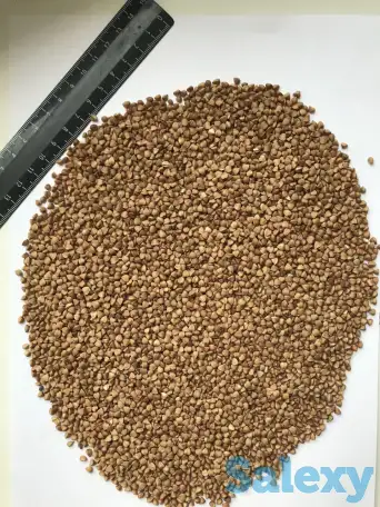 Крупа гречневая, фотография 1