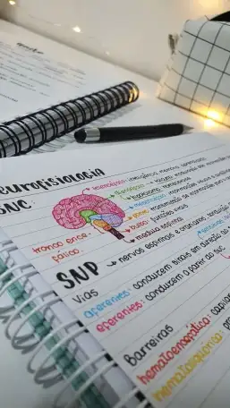 Репетитор для начальных классов, фотография 1