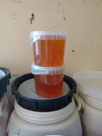 Продам свежий мёд, фотография 2