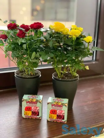 Королевские розы, фотография 2