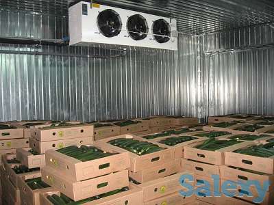 Промышленное холодильное, климатическое оборудование, фотография 9