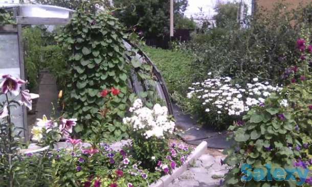 Продам Дом, район им. Казыбек би пер. Хвойный дом 19, фотография 10