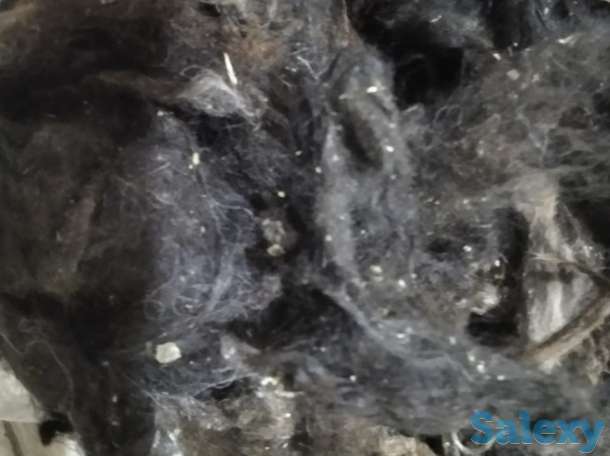 Продажа шерсть овечья, фотография 1