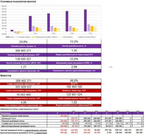 Бизнес план. Финансовая модель, Даму, ТЭО, инвестиционный проект, фотография 5