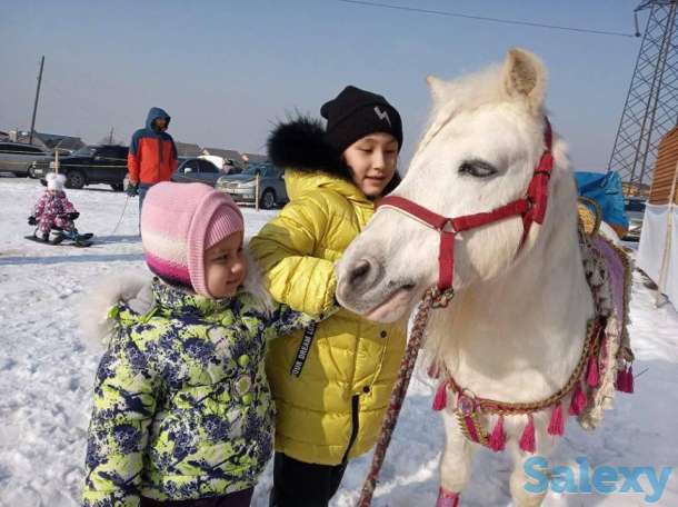 катание на санях, фотография 9