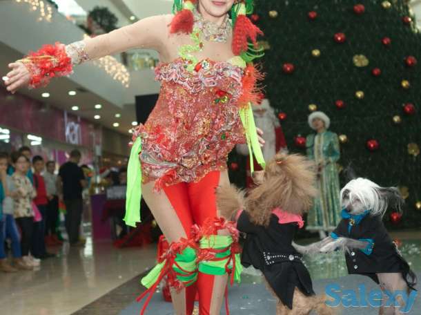 Дед Мороз и снегурочка в Алматы, фотография 2