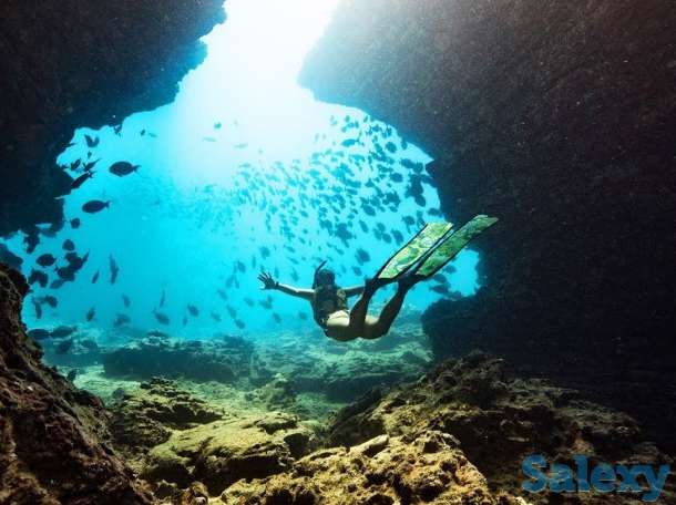 Дайвинг-тур на Красное море, Дахаб. Сентябрь 2019, фотография 5