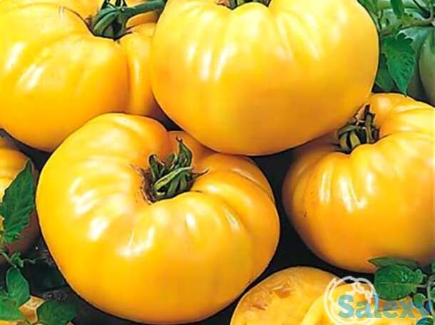 Семена Томат Гигант лимонный 20 шт, фотография 1