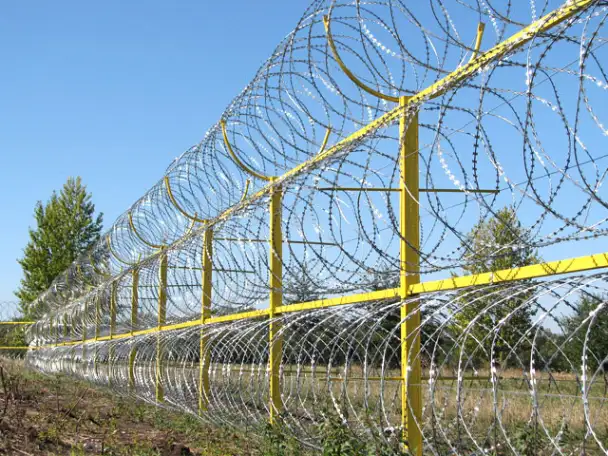 СББ Егоза - колючая проволока, фотография 1