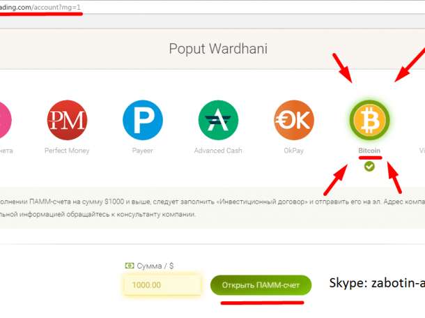 Компания Pro-Active Trading, фотография 1